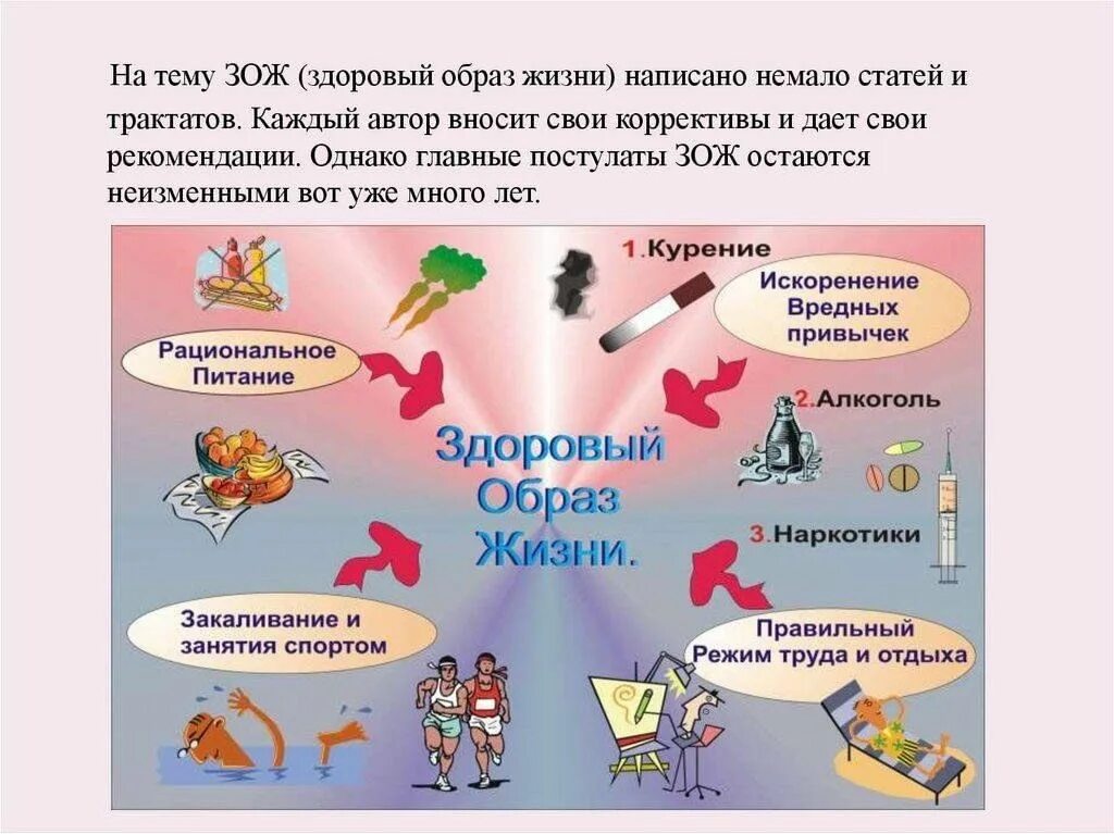 Программа здоровый и безопасный образ жизни