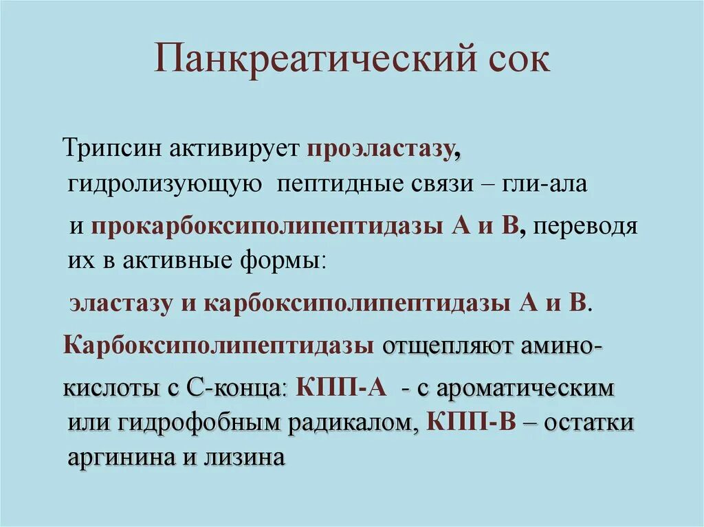 Трипсин панкреатического сока. Трипсин активирует. Панкреатическая эластаза 1. Норма панкреатической эластазы.