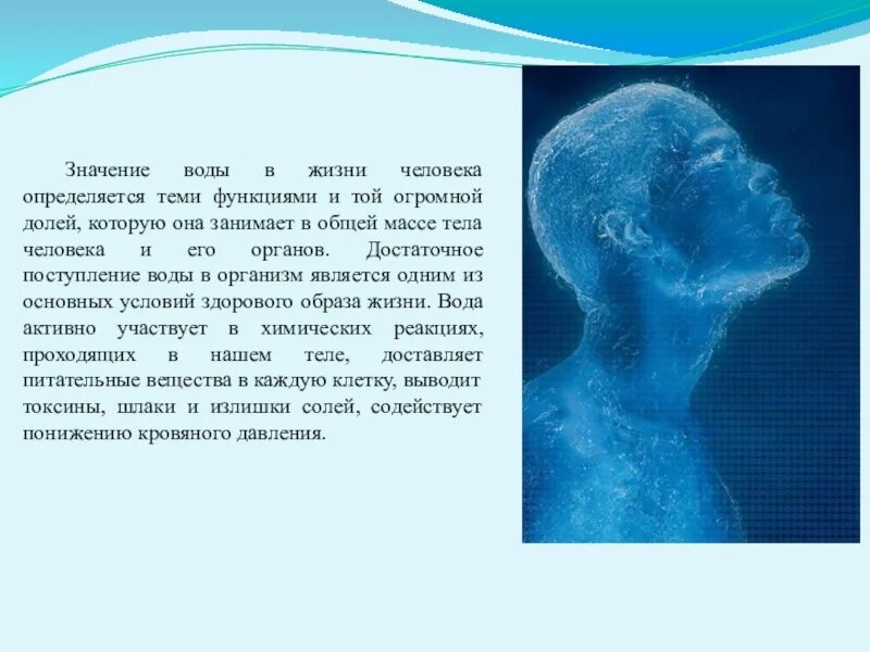 Важность воды в жизни человека. Значение воды в жизни. Значение воды в жизни человека. Теоретическая значимость воды. С лица воду не пить смысл