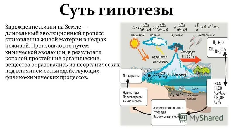 Химическая эволюция живого