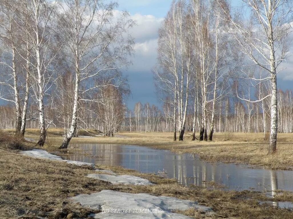 После апреля будет март. Весенний пейзаж. Природа весной.