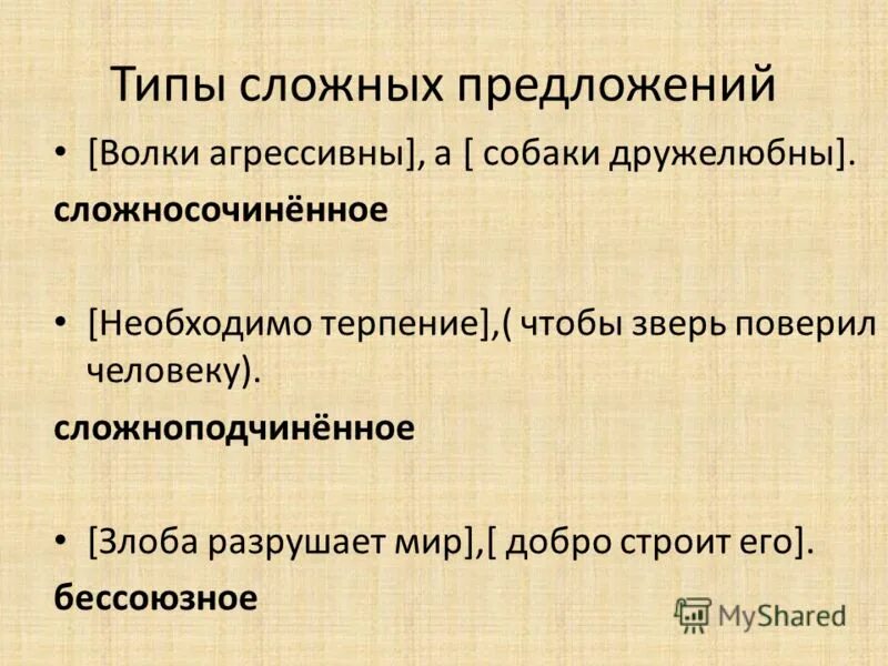 Предложения с типами соподчинения. Числительные члены предложения. Имя существительное правописание сложных имен существительных. 5 предложений сложных с именем. Предложения с именами собственными 5 класс.