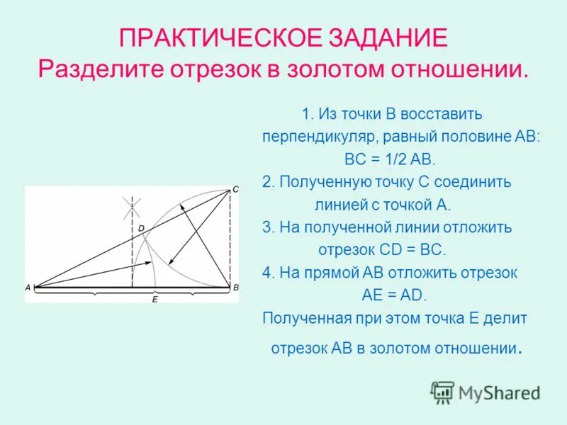 Отношение в золотом сечении