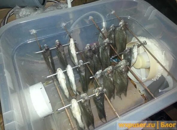 Сушилка для рыбы. Вентилятор для сушки рыбы. Сушилка для вяления рыбы. Сушилка для рыбы своими руками.