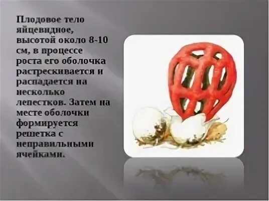 Какие грибы в красной книге россии 2023