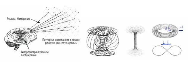 Мозг магнитное поле. Торсионные поля человека. Торсионные поля торсионная информация. Биополе торсионное поле. Торсионное магнитное поле.