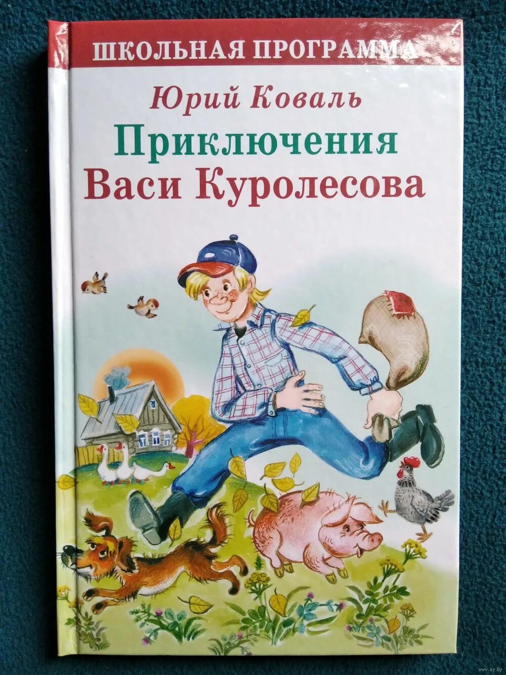 Краткое содержание рассказа васи куролесова. Коваль приключения Васи Куролесова. Приключения Васи Куролесова читательский дневник иллюстрации. Коваль приключения Васи Куролесова читательский дневник рисунок. Приключения Васи Куролесова читательский дневник.