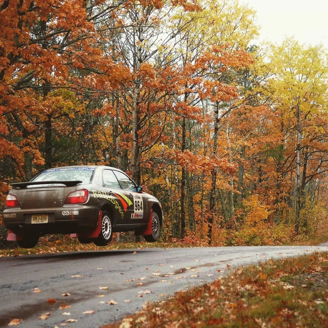 Авто осень. Автомобильный ноябрь. Машина размытый фон. Машина в лесу. Wallpaper ferrari f430 scuderia.