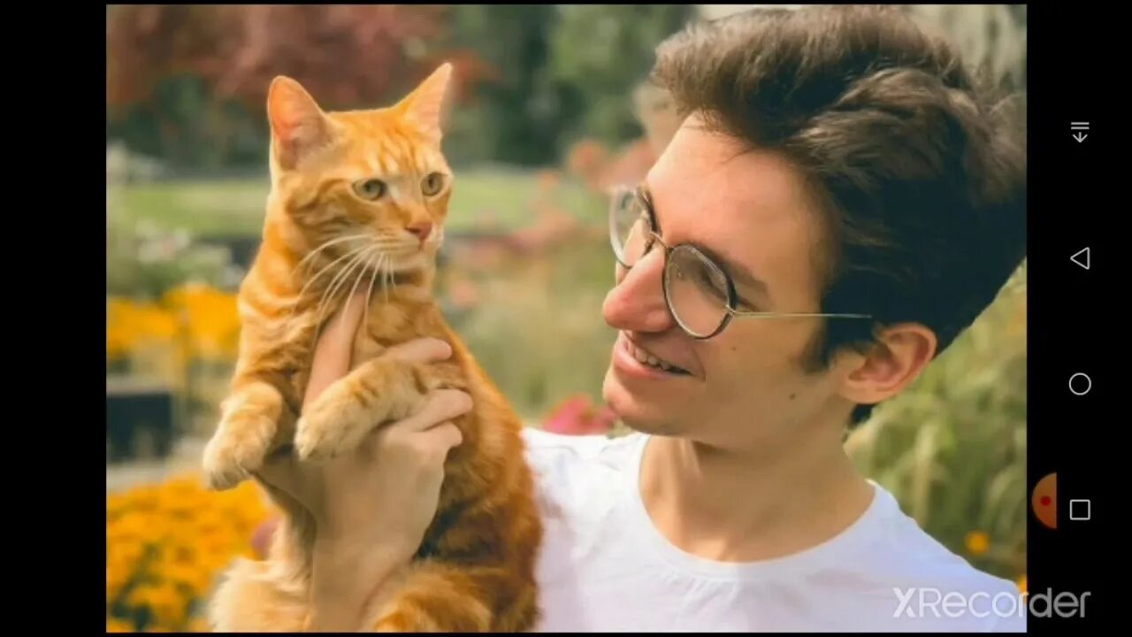 Кот симба видео. Симба тик токер. симбочка младший. симба пимпочка тик ток. симба кот.