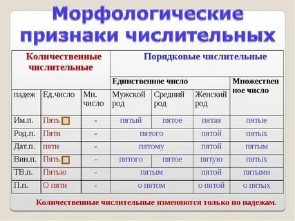 Порядковые числительные изменяются по родам