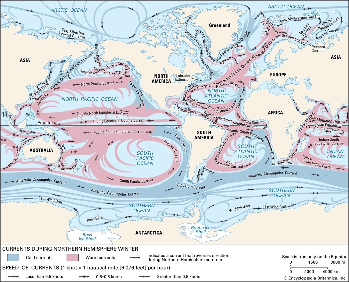 Какое из океанических течений теплое. Карта течений мирового океана. Течения в океане карта. Карта морских течений. Теплые Океанские течения.