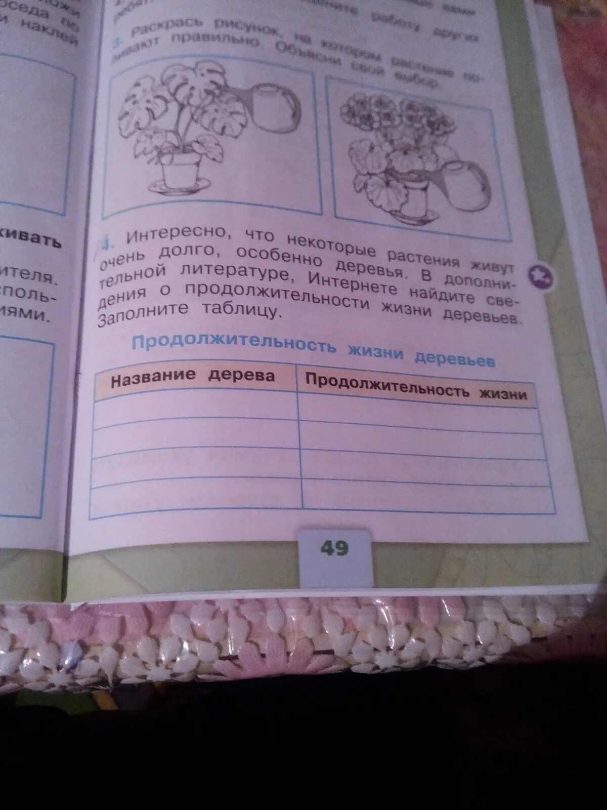 Одноклассники Plants, Garden, Views