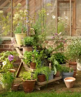 Plant country