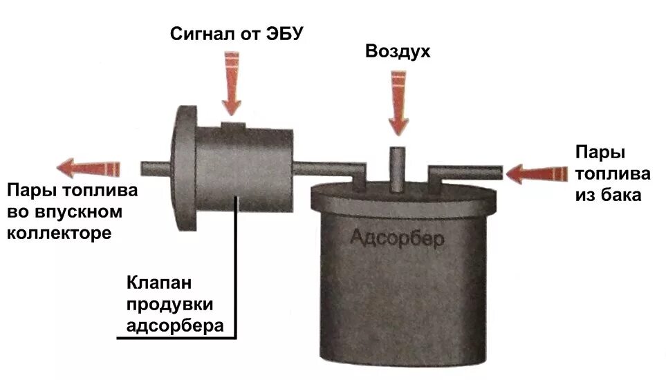 Неисправность клапана абсорбера. Клапан адсорбера ВАЗ 2110. Абсорбер ВАЗ 2112 16 клапанов. Топливный фильтр в клапан абсорбера ВАЗ. Клапан продувки адсорбера ВАЗ 2114.