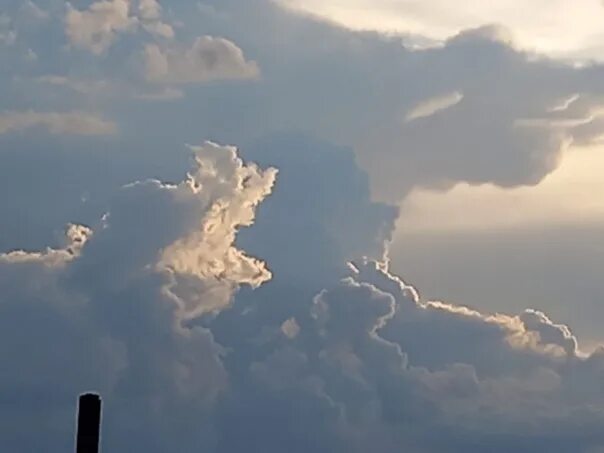 Король облаков. Король облаков. Король лев призрак муфасы. Олень в облаках. Король лев 2019 муфаса.