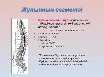 Митя Фоминнің жалаңаш суреттері