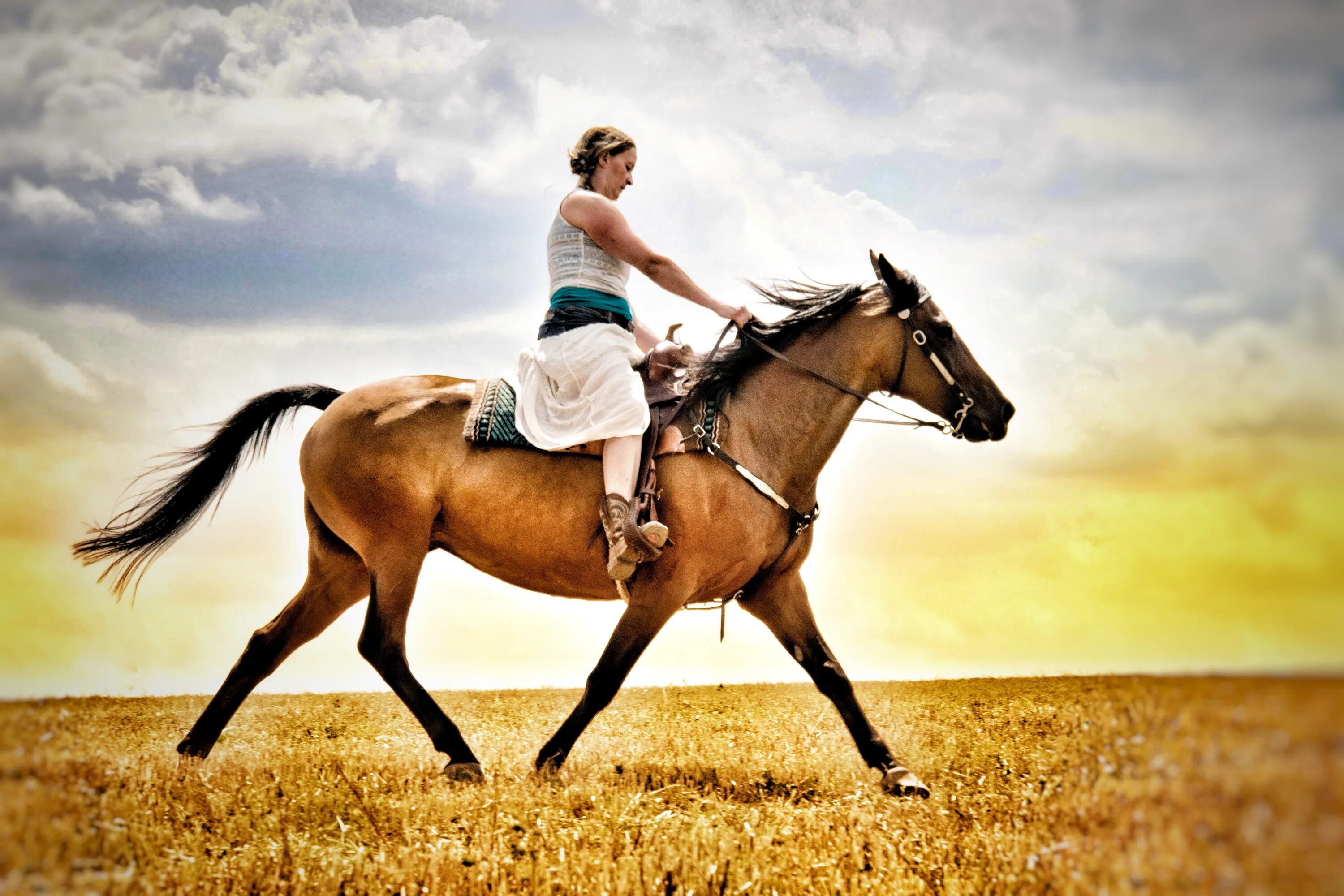 Can ride a horse. Horse riding германия парк. Riding carry. Катание на лошадях. Riding carry.