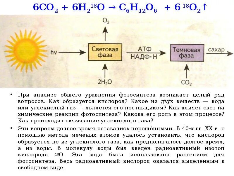 Глюкоза углекислый газ вода. Углекислый ГАЗ фотосинтез реакция. Процесс образования кислорода. Процесс образования углекислого газа. Кислород образуется из.