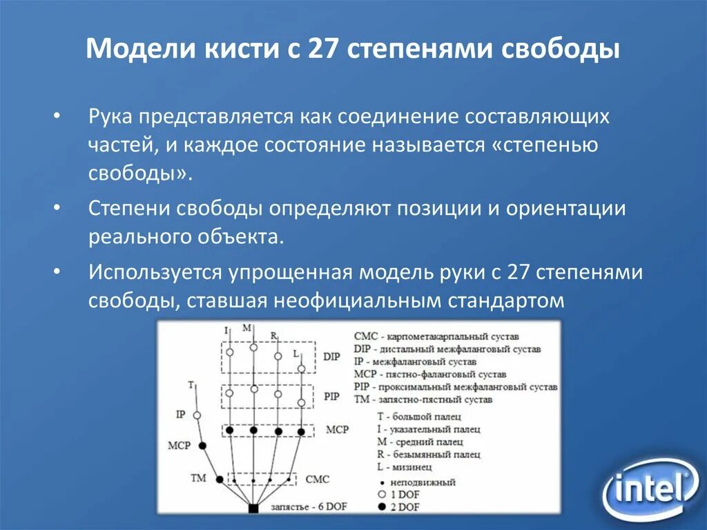 Степени свободы в биомеханике. Число степеней свободы идеального газа. Шарнир 2 степени свободы. Степень свободы руки. Степень свободы руки.