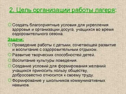 Цели и задачи работы лагеря