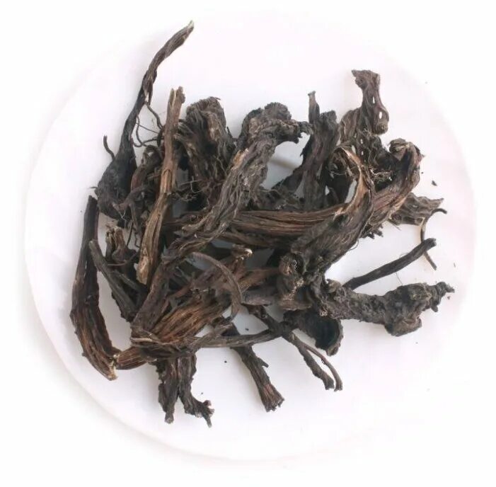 Клопогон цимицифуга корень. Корневища цимицифуги. Корневища цимицифуги. Клопогон цимицифуга. Цимицифуга с витаминами.