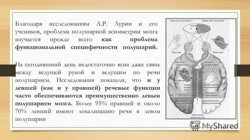 межполушарные взаимоотношения. межполушарные взаимоотношения. функциональная асимметрия мозга. проблема межполушарной асимметрии мозга. теория межполушарного взаимодействия.