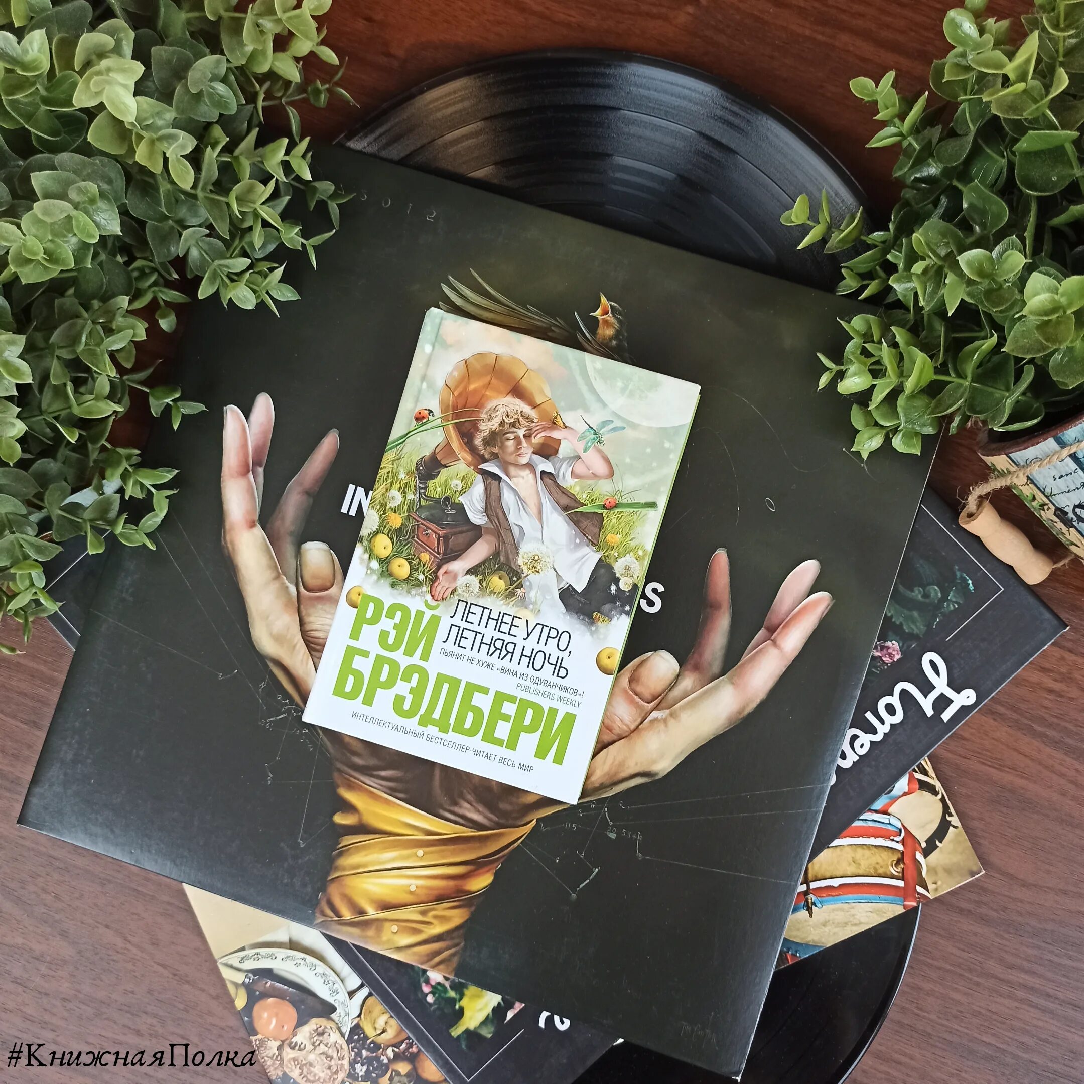 Зеленое утро читать полностью. Зеленое утро читать полностью