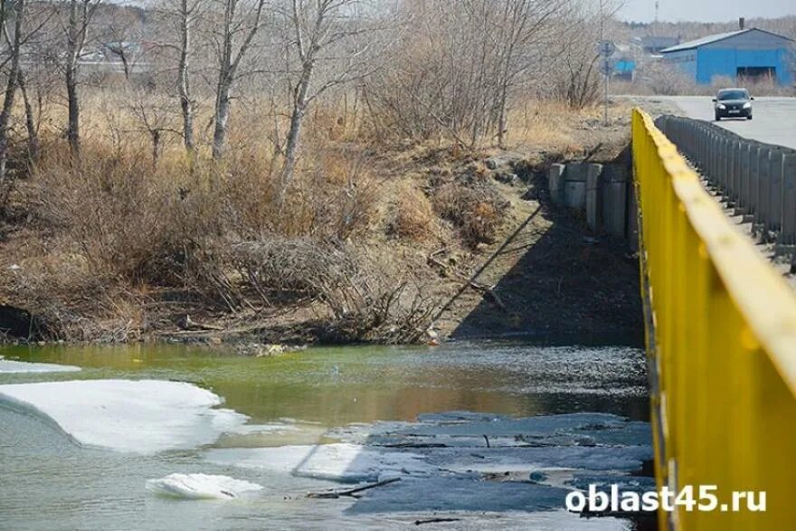 На сколько поднялась вода в тоболе сегодня. Река Тобол Курган. Курган уровень реки Тобол. Уровень воды в реке Тобол. Уровень воды в Тоболе.