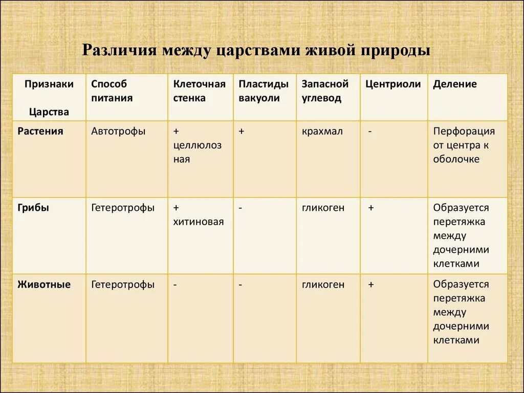 Различие царств. Сравнительная характеристика Царств живой природы. Таблица царства живой природы. Общая характеристика Царств живой природы. Сравнительная таблица Царств живой природы.