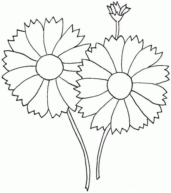 Раскраска цветочек. Blank flowers. Шаблоны цветов для детей. Цветок контур. Цветок для раскрашивания детям.