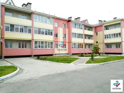 Отрадное брянск