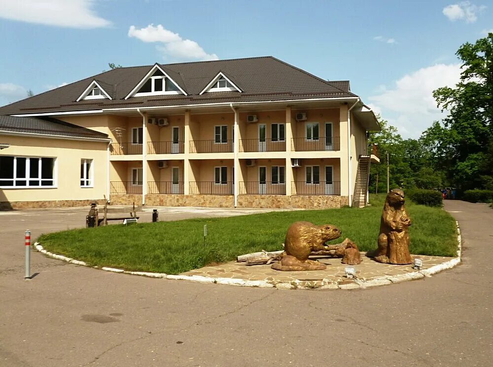 Бобровский заповедник. Графский заповедник Воронеж. Воронежский биосферный заповедник имени Пескова. Графский заповедник Воронеж бобры. Воронежский биосферный заповедник Бобровый.