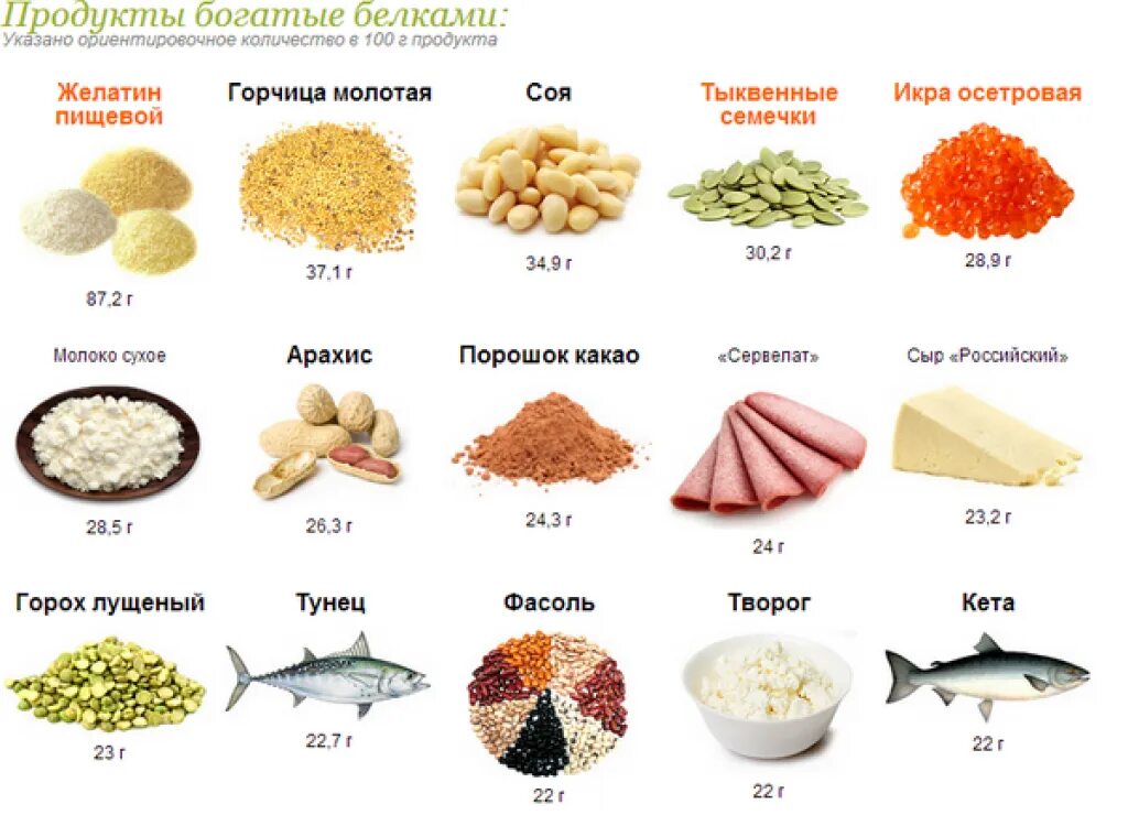 В 1 г белка содержится. Продукты с высоким содержанием белка. какие продукты содержат белок. где содержатся белки. продукты с большим содержанием белка.