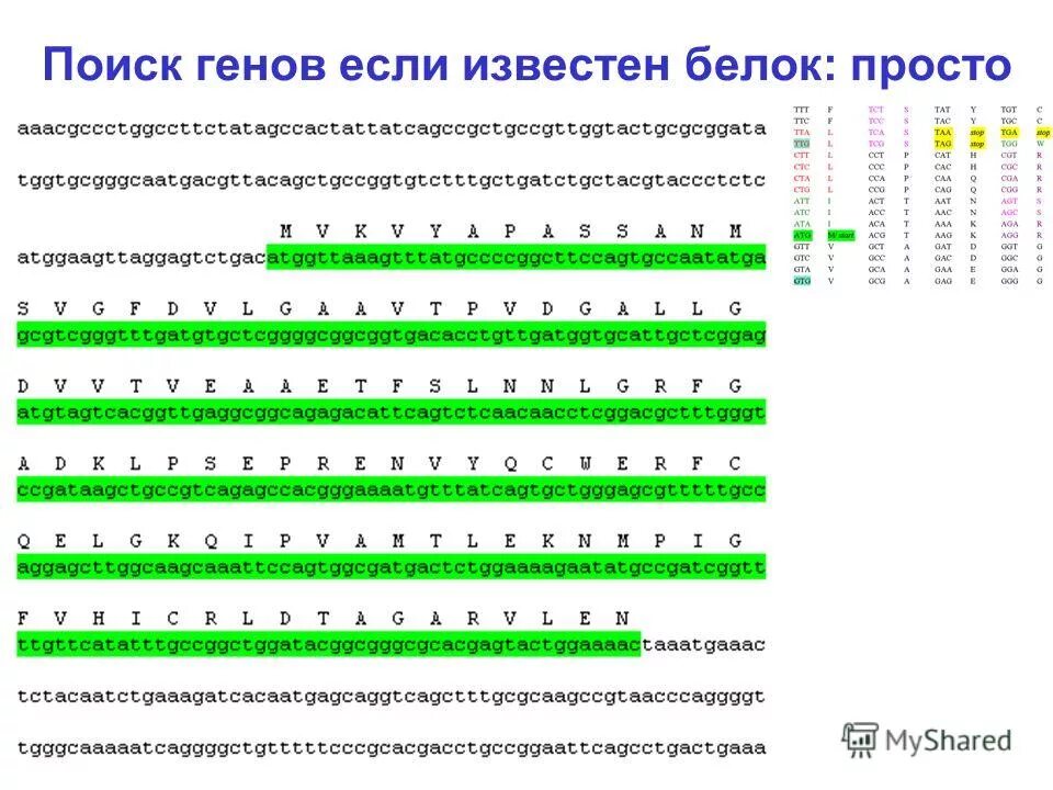 Геном человека таблица