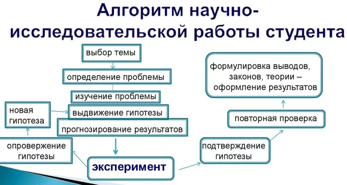 Организация научно исследовательской работы студентов. Алгоритм выполнения научно-исследовательской работы. виды исследовательских работ студентов. формы научной работы студентов.