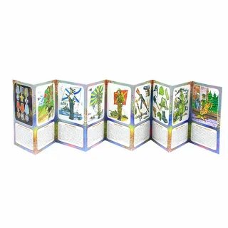 Книга ширма