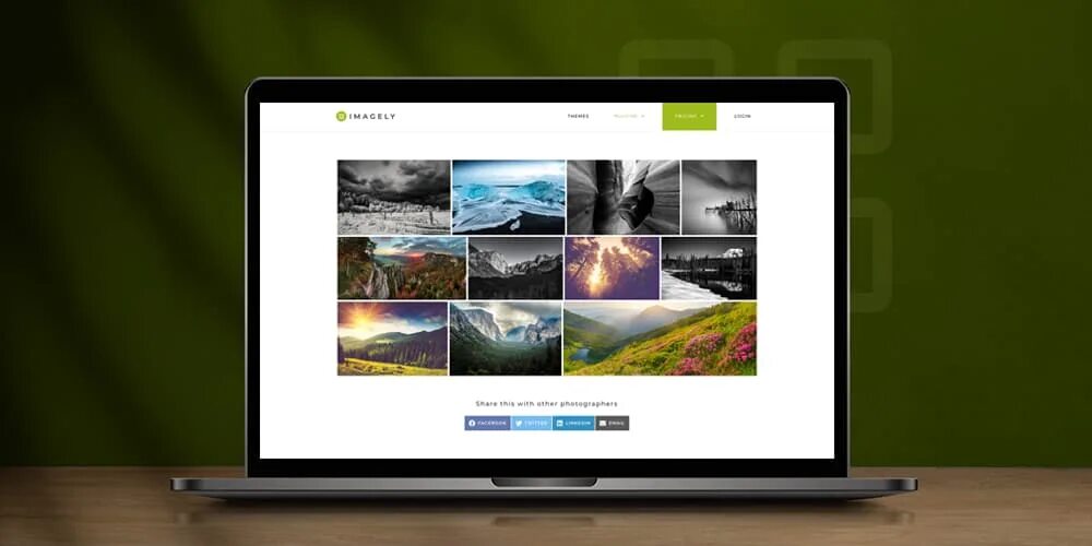 Фотогалерея на wp. Плагин NEXTGEN Gallery WORDPRESS сайт. WORDPRESS Gallery plugin — NEXTGEN Gallery. Галерея wordpress