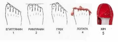 Определить свою женщину