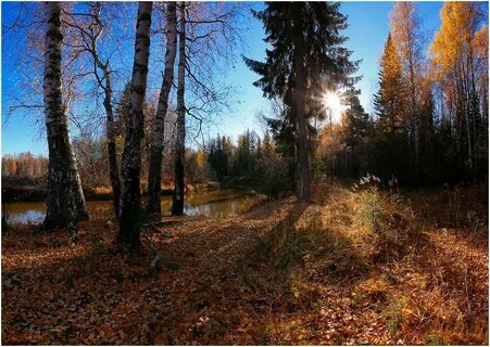 Оценка пейзажа