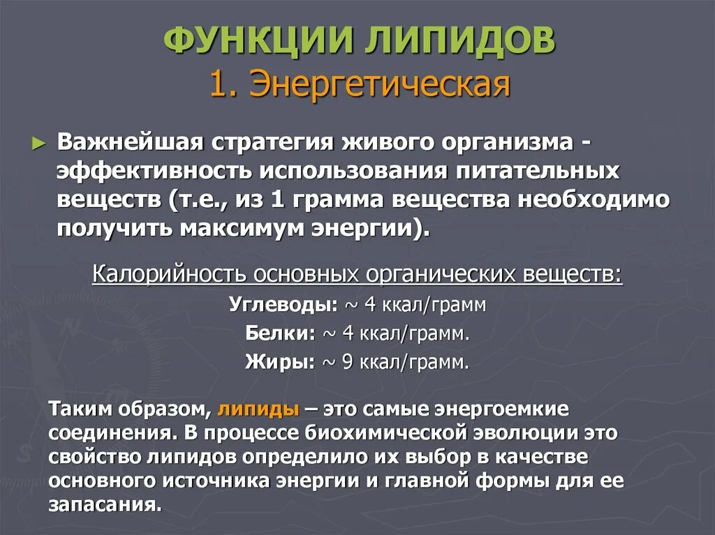 Защитный липид. Функции липидов. Функции липидов в организме. Энергетическая функция липидов. Функции липидов структурная энергетическая.