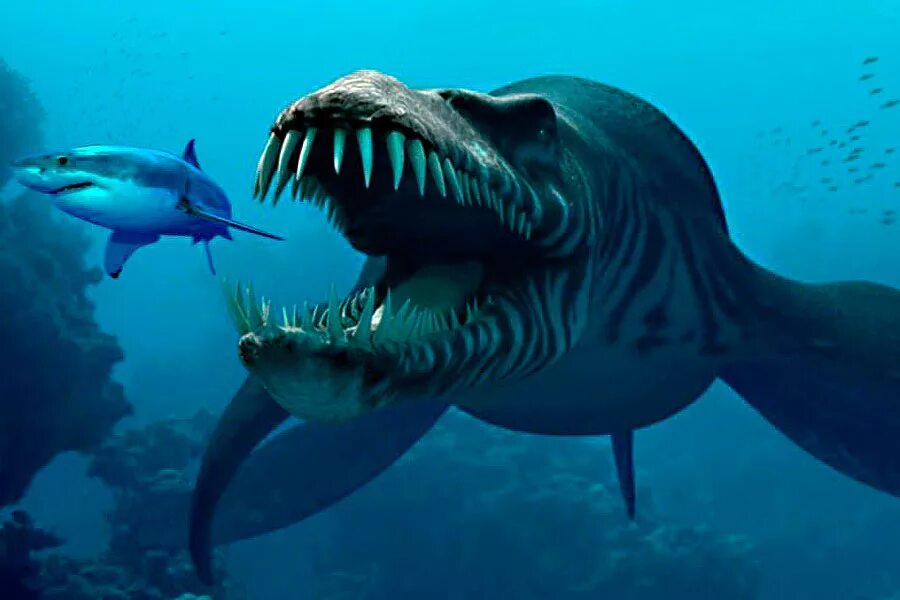 Про океанов видео. Марианская впадина акула МЕГАЛОДОН. Акула-монстр МЕГАЛОДОН жив. Морские чудовища Марианской впадины. Подводные динозавры МЕГАЛОДОН.