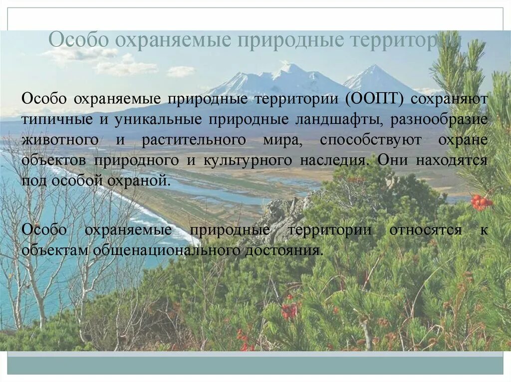 Как называется вид особо охраняемых природных территорий. Особо охраняемые природные территории. Охраняемые природные территории презентация. Особо охраняемые территории презентация.