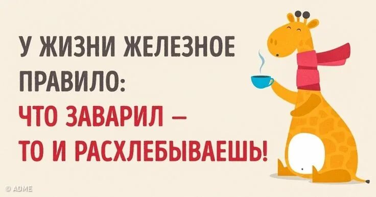 Адме ру. ADME картинки. У жизни железное правило что заварил то и расхлёбываешь. Адме открытка дня.