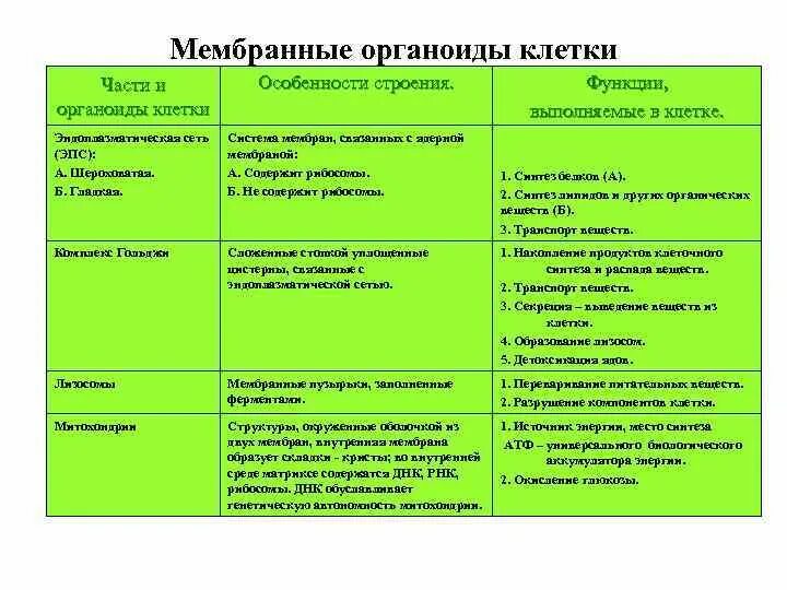 Название органоида особенности строения функции таблица. Функции органоидов клетки таблица животная клетка. Органоиды особенности строения и функции таблица. Таблица название строение и функции органоидов животной клетки. Строение клеток мембранные органоиды