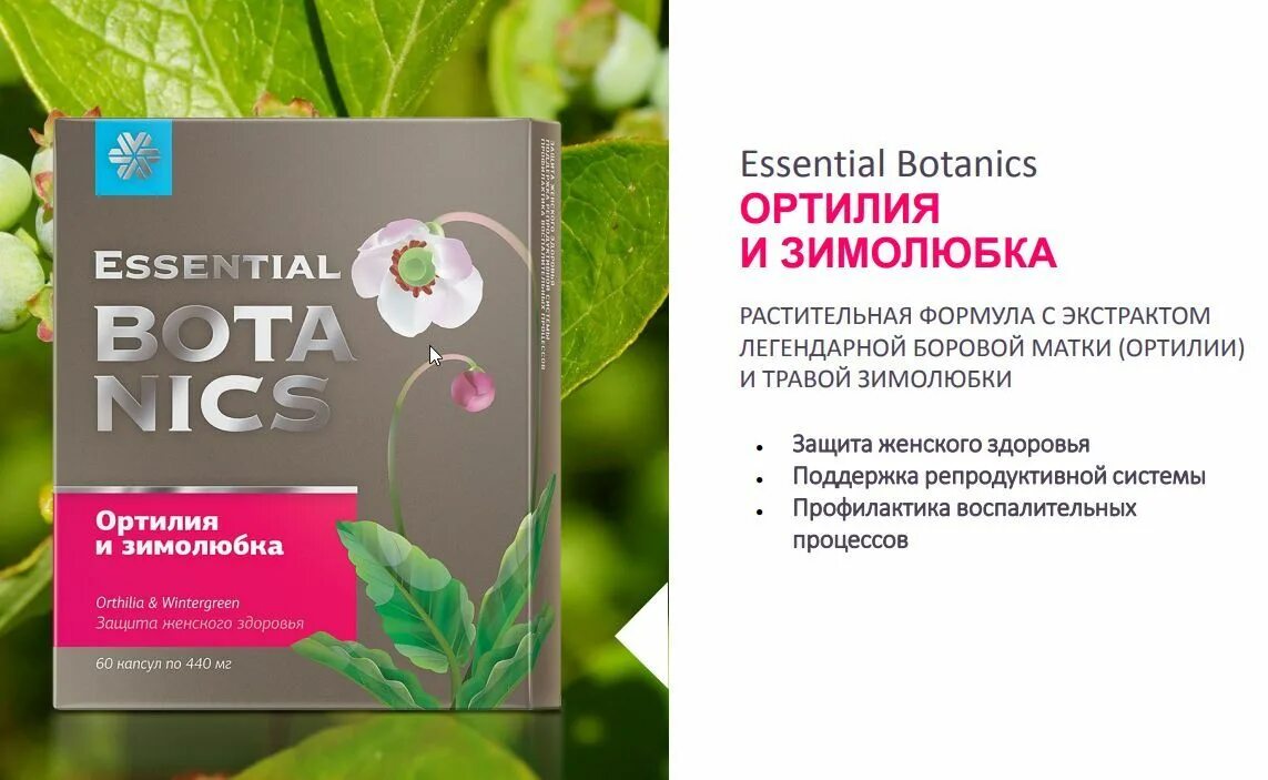 Растительный мелатонин essential botanics сибирское. Зимолюбку Себирское здоровья. Зимолюбка Сибирское здоровье. Ортилия и зимолюбка Сибирское здоровье. Ортилия и зимолюбка - Essential Botanics.