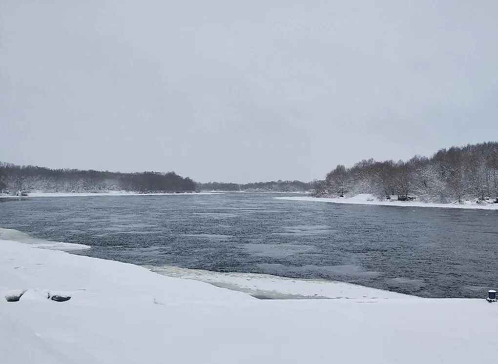 Река Ока. Ока река уровень воды Рязань. Ока сейчас река Рязань.