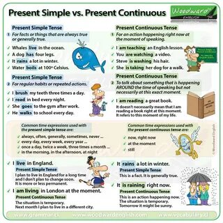 Тест present simple vs present continuous