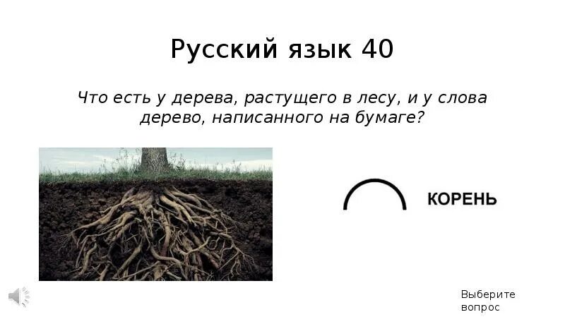 Смотрю как деревья растут. Шутки про дерево. Смотрю как деревья растут все. Анекдот смотрю как деревья растут. С отрю как растут деревья.