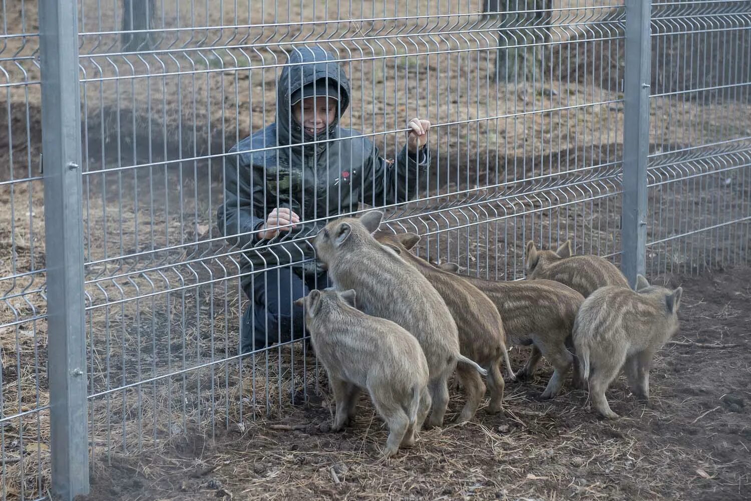 Зоопарк попова. Воронежский зоопарк. Воронежский зоосад. Воронежский зоопарк на левом берегу. Парк Авиастроителей Воронеж зоопарк.