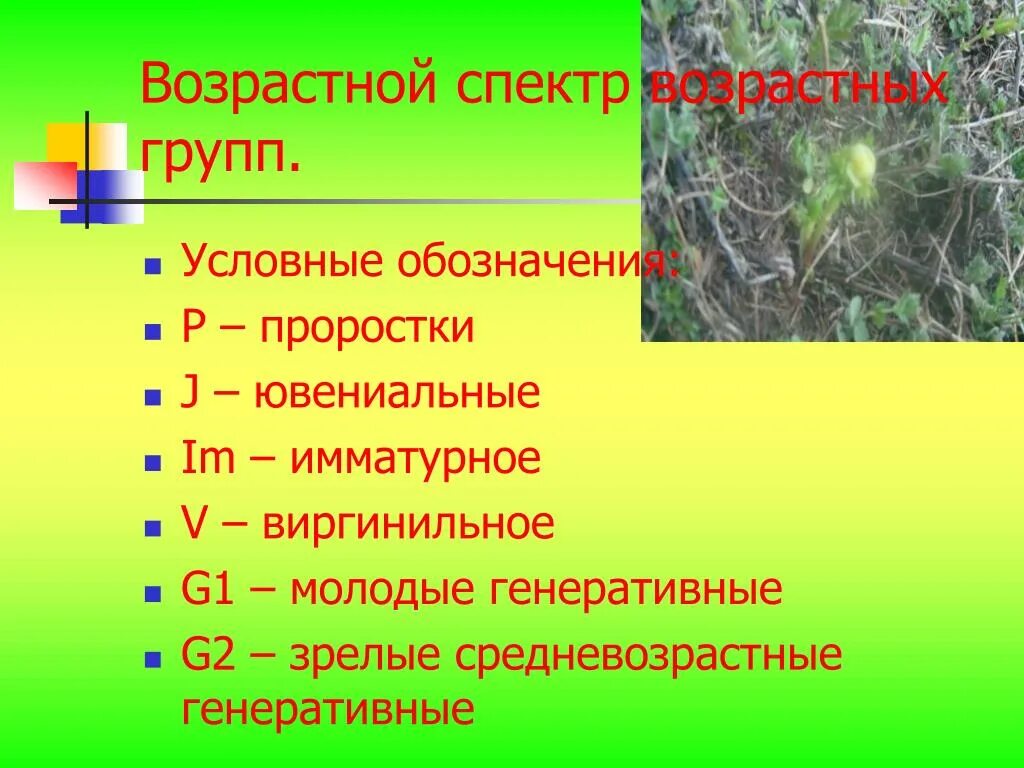 Возрастной спектр. Генеративная возрастная группа это. Возрастной спектр растений. Возрастной спектр ботаника.